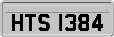 HTS1384