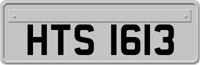 HTS1613