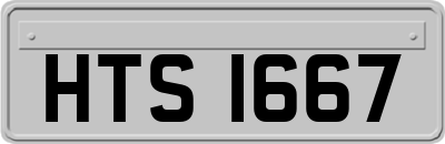 HTS1667