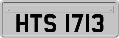 HTS1713