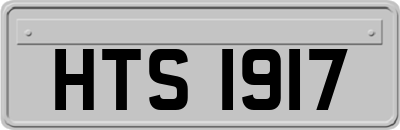 HTS1917