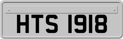 HTS1918