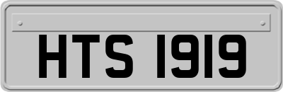 HTS1919