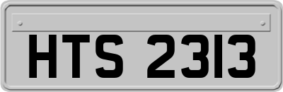HTS2313