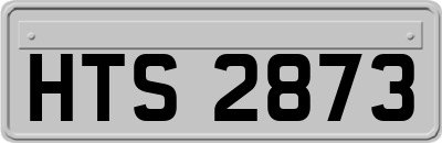 HTS2873