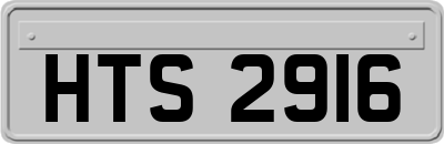 HTS2916