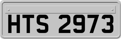 HTS2973