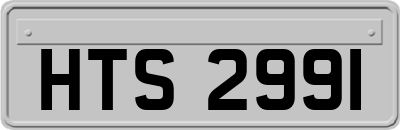 HTS2991