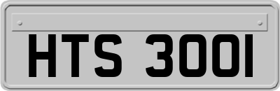 HTS3001