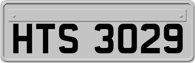 HTS3029