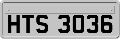 HTS3036