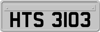 HTS3103