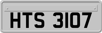 HTS3107