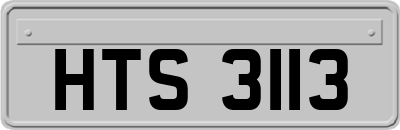 HTS3113