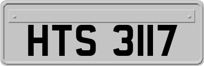 HTS3117