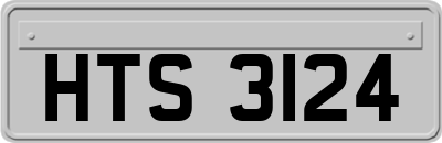 HTS3124