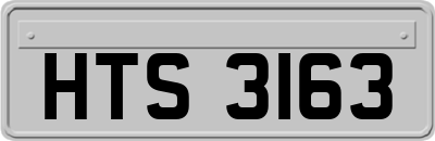 HTS3163
