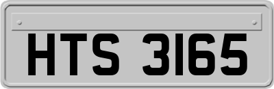 HTS3165
