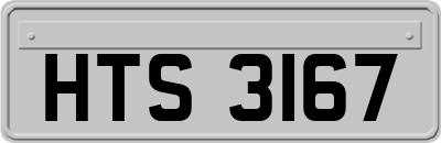 HTS3167
