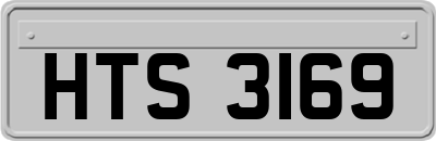 HTS3169
