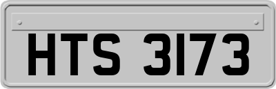 HTS3173