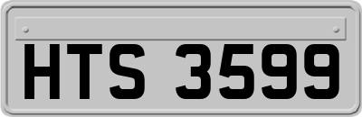 HTS3599