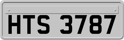 HTS3787