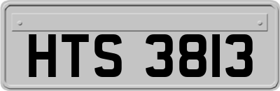 HTS3813