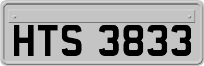 HTS3833