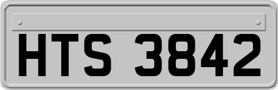 HTS3842