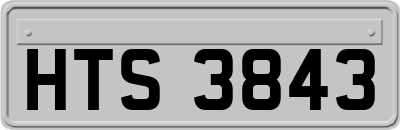 HTS3843