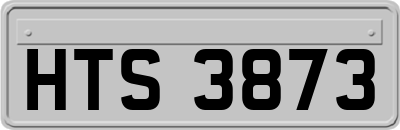 HTS3873
