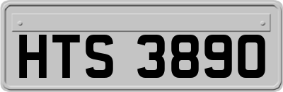 HTS3890