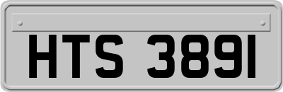 HTS3891