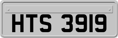HTS3919