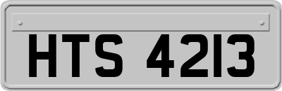 HTS4213