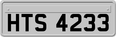 HTS4233