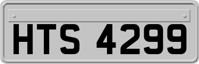 HTS4299