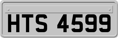 HTS4599