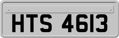 HTS4613
