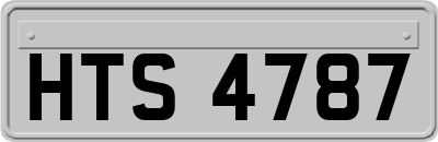 HTS4787