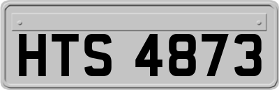 HTS4873