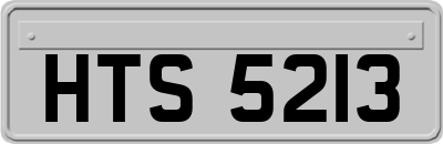 HTS5213