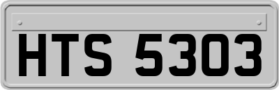 HTS5303