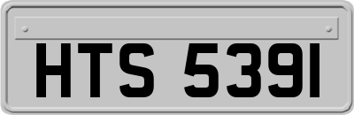 HTS5391