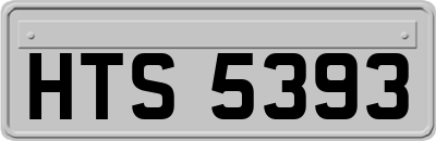HTS5393