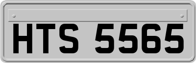 HTS5565