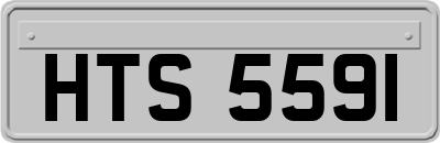 HTS5591
