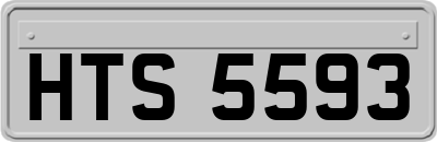 HTS5593