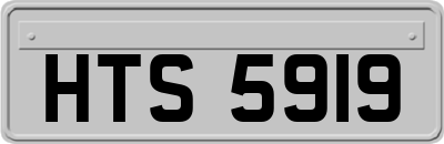 HTS5919